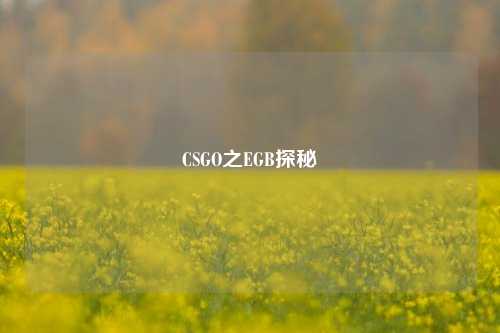 CSGO之EGB探秘