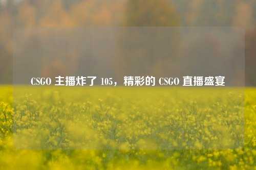 CSGO 主播炸了 105,精彩的 CSGO 直播盛宴