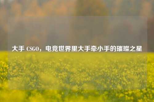 大手 CSGO,电竞世界里大手牵小手的璀璨之星