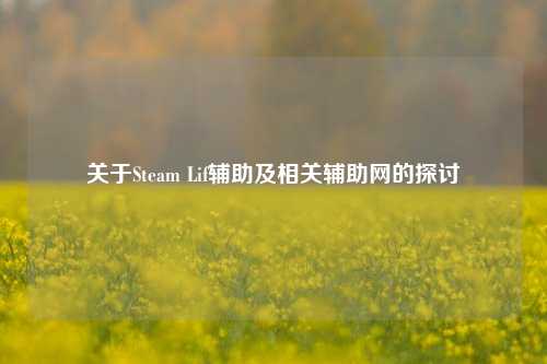 关于Steam Lif辅助及相关辅助网的探讨