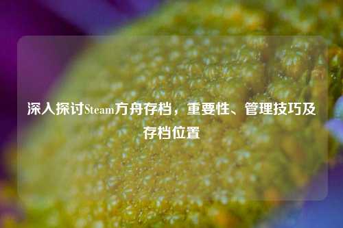 深入探讨Steam方舟存档,重要性、管理技巧及存档位置