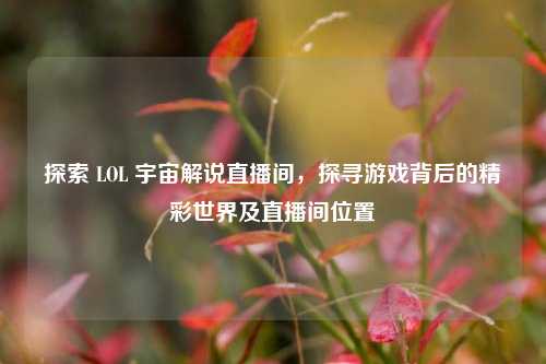 探索 LOL 宇宙解说直播间,探寻游戏背后的精彩世界及直播间位置