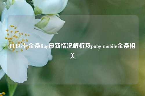 PUBG卡金条Bug最新情况解析及pubg mobile金条相关
