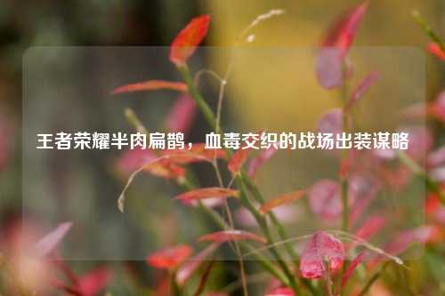 王者荣耀半肉扁鹊,血毒交织的战场出装谋略