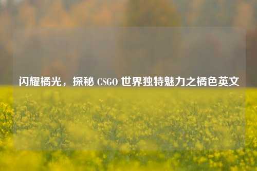 闪耀橘光,探秘 CSGO 世界独特魅力之橘色英文