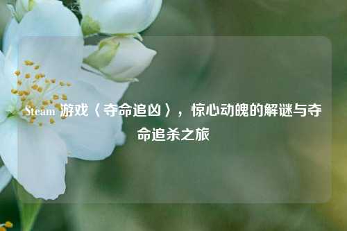 Steam 游戏〈夺命追凶〉,惊心动魄的解谜与夺命追杀之旅