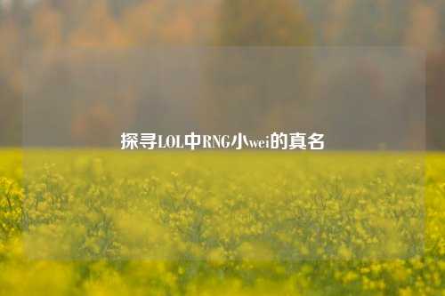探寻LOL中RNG小wei的真名