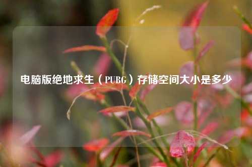 电脑版绝地求生(PUBG)存储空间大小是多少