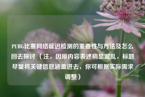 PUBG比赛 延迟检测的重要性与 及怎么回去探讨 (注,因原内容表述稍显混乱,标题尽量将关键信息涵盖进去,你可根据实际需求调整)
