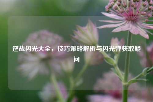 逆战闪光大全,技巧策略解析与闪光弹获取疑问