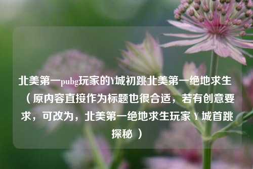 北美之一pubg玩家的Y城初跳北美之一绝地求生 (原内容直接作为标题也很合适,若有创意要求,可改为,北美之一绝地求生玩家 Y 城首跳探秘 )