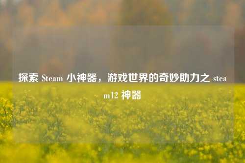 探索 Steam 小神器,游戏世界的奇妙助力之 steam12 神器