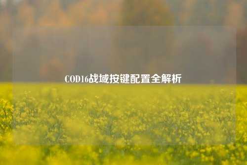COD16战域按键配置全解析