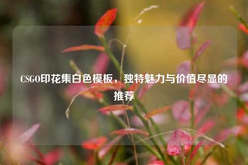 CSGO印花集白色模板,独特魅力与价值尽显的推荐