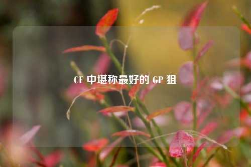 CF 中堪称更好的 GP 狙