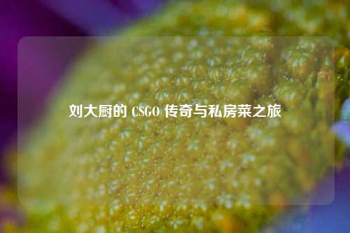 刘大厨的 CSGO 传奇与私房菜之旅