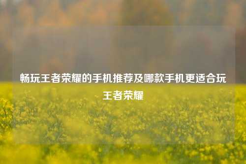 畅玩王者荣耀的手机推荐及哪款手机更适合玩王者荣耀
