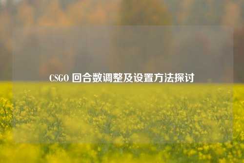 CSGO 回合数调整及设置 探讨