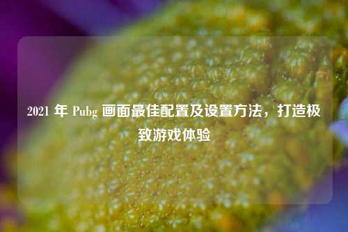 2021 年 Pubg 画面更佳配置及设置 ,打造极致游戏体验