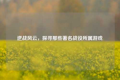 逆战风云,探寻那些著名战役所属游戏