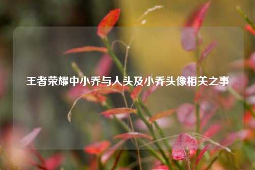 王者荣耀中小乔与人头及小乔头像相关之事