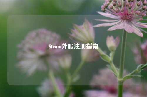 Steam外服注册指南
