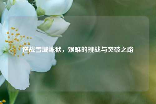 逆战雪域炼狱,艰难的挑战与突破之路