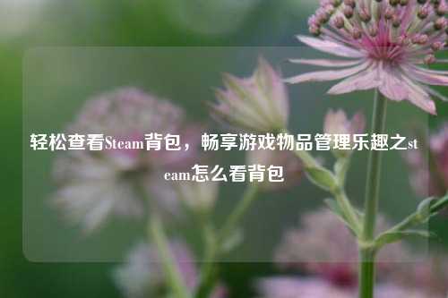 轻松查看Steam背包,畅享游戏物品管理乐趣之steam怎么看背包