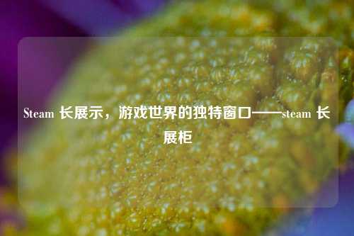 Steam 长展示,游戏世界的独特窗口——steam 长展柜