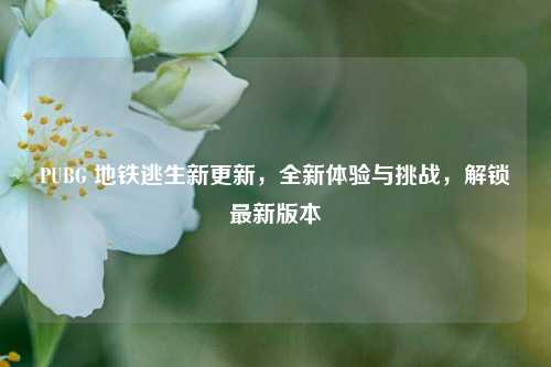 PUBG 地铁逃生新更新,全新体验与挑战,解锁最新版本
