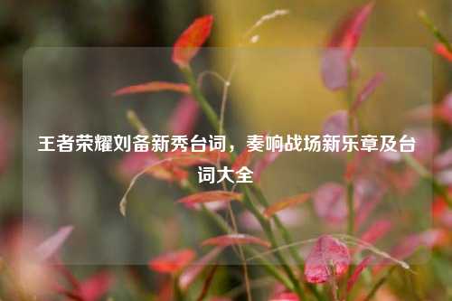 王者荣耀刘备新秀台词,奏响战场新乐章及台词大全