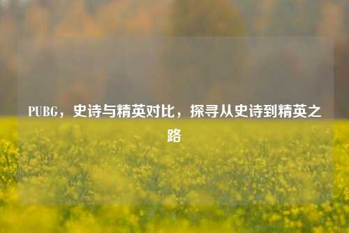PUBG,史诗与精英对比,探寻从史诗到精英之路