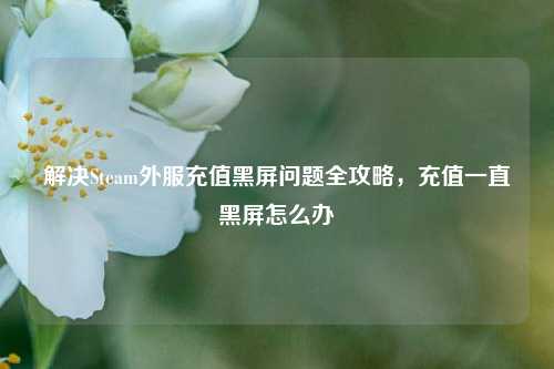 解决Steam外服充值黑屏问题全攻略,充值一直黑屏怎么办