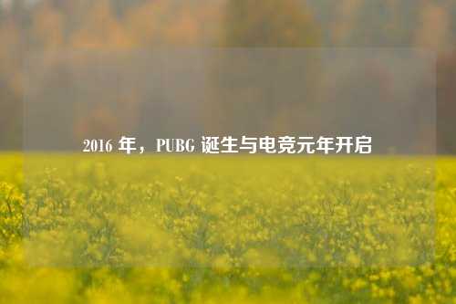 2016 年,PUBG 诞生与电竞元年开启