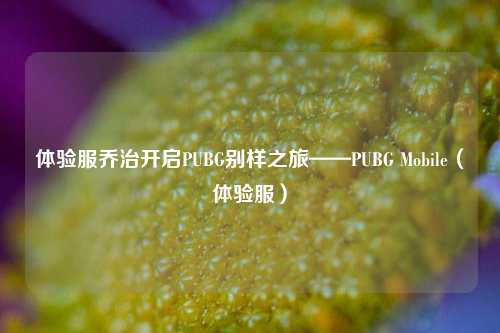体验服乔治开启PUBG别样之旅——PUBG Mobile(体验服)