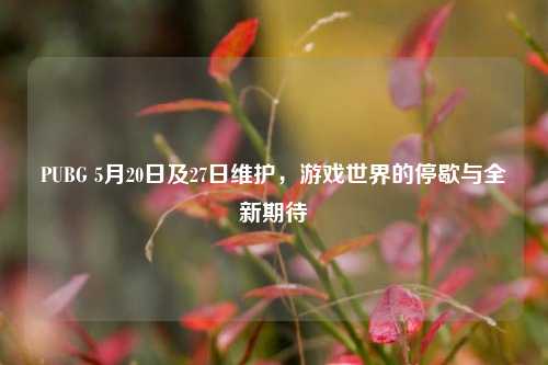 PUBG 5月20日及27日维护,游戏世界的停歇与全新期待