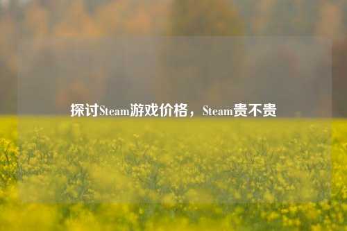 探讨Steam游戏价格,Steam贵不贵