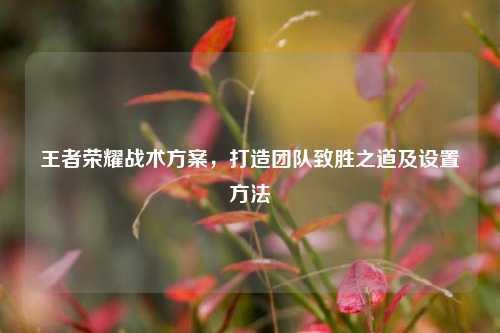 王者荣耀战术方案,打造团队致胜之道及设置