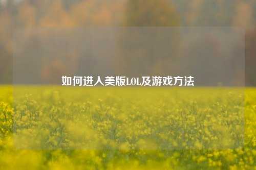 如何进入美版LOL及游戏