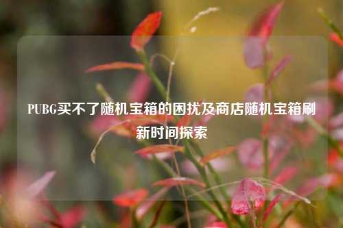PUBG买不了随机宝箱的困扰及商店随机宝箱刷新时间探索