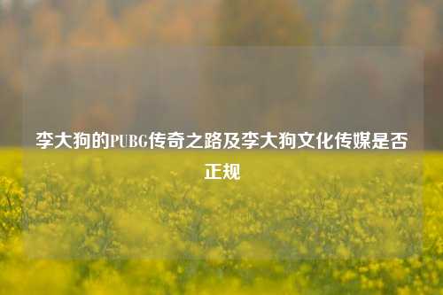 李大狗的PUBG传奇之路及李大狗文化传媒是否正规