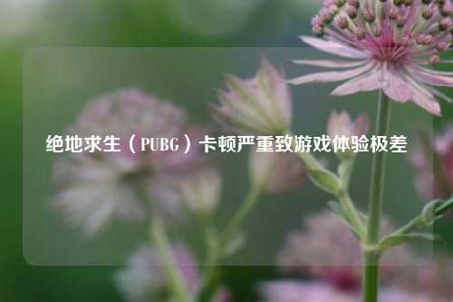 绝地求生(PUBG)卡顿严重致游戏体验极差