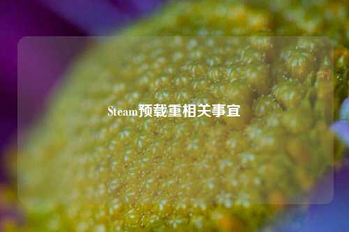 Steam预载重相关事宜