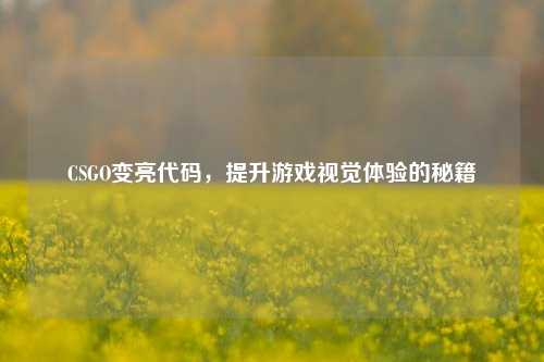 CSGO变亮代码,提升游戏视觉体验的秘籍