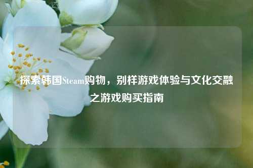 探索韩国Steam购物,别样游戏体验与文化交融之游戏购买指南