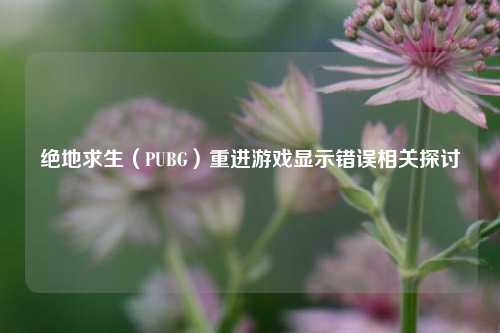 绝地求生(PUBG)重进游戏显示错误相关探讨