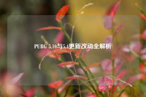 PUBG 5.10与5.4更新改动全解析