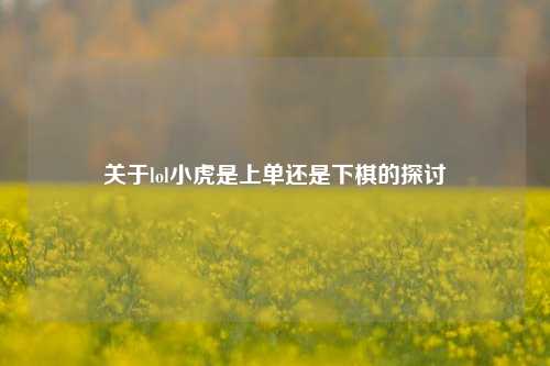 关于lol小虎是上单还是下棋的探讨