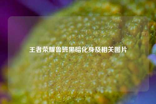 王者荣耀鲁班黑暗化身及相关图片