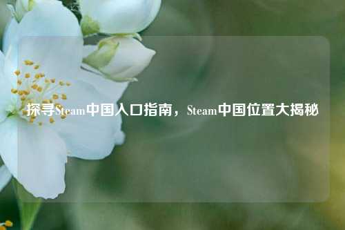 探寻Steam中国入口指南,Steam中国位置大揭秘